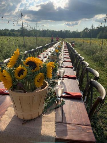 sunflower dinner table 