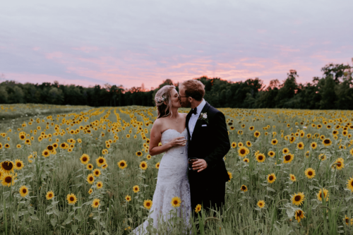 bride and groom sunflower field